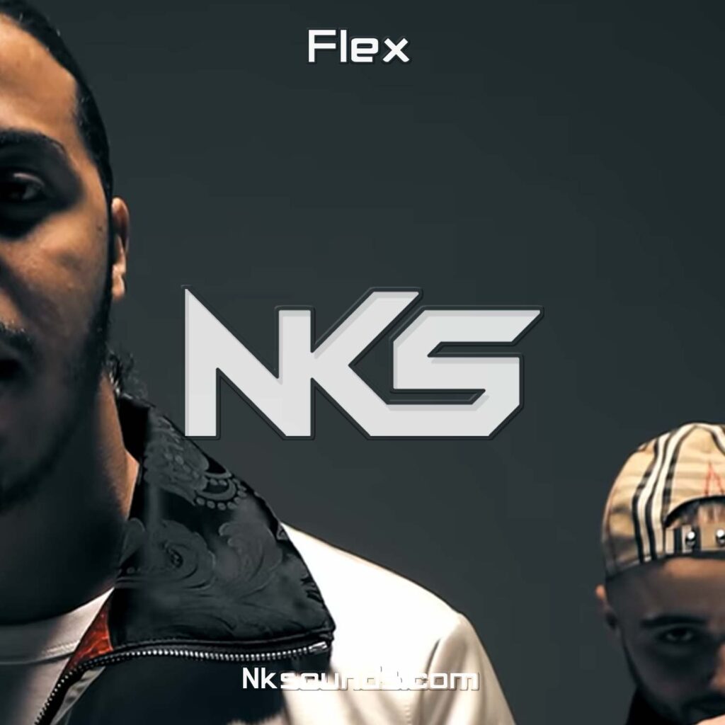 Flex | Djadja & Dinaz chill Type Beat