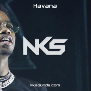 Havana | Roddy Ricch Cuban Type Beat