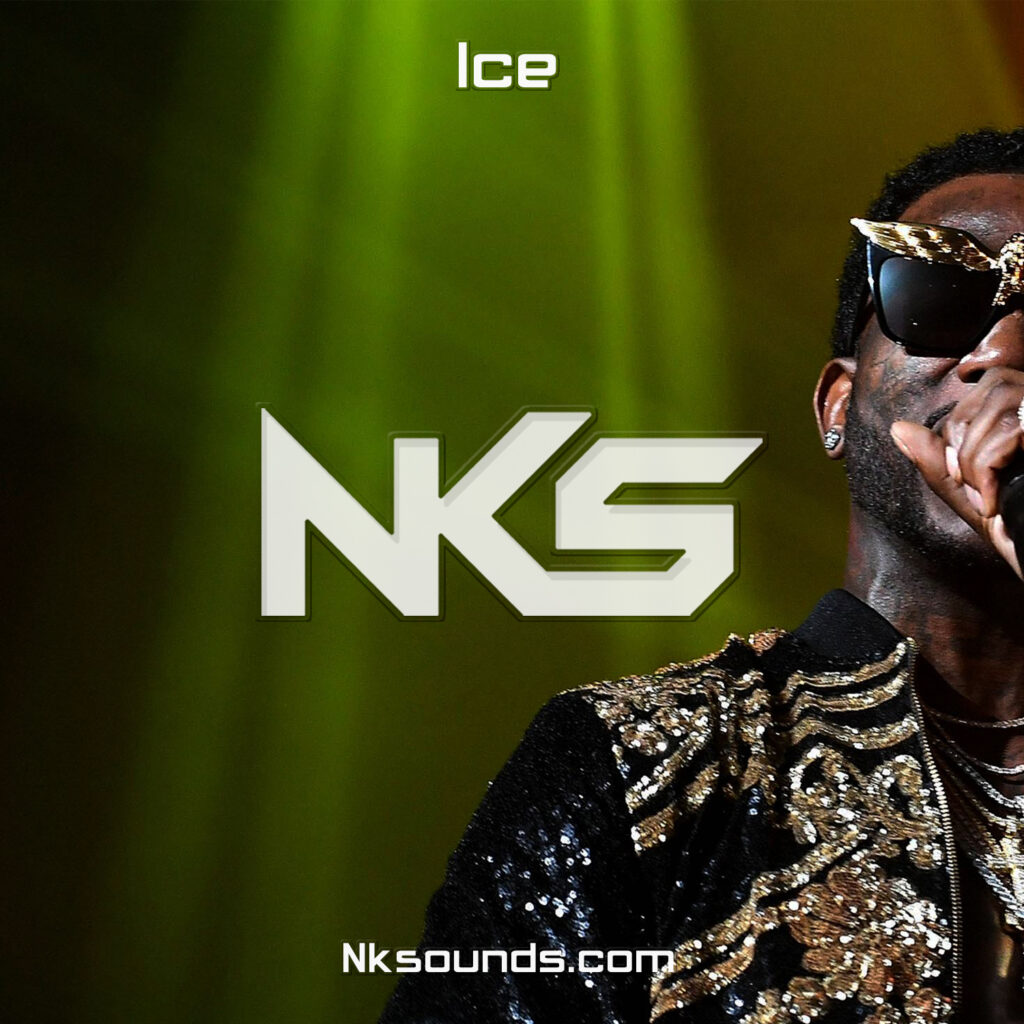Ice | Gucci Mane Type Beat