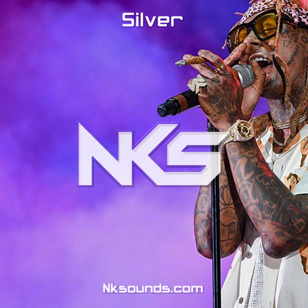 Silver | Lil Wayne Type Beat