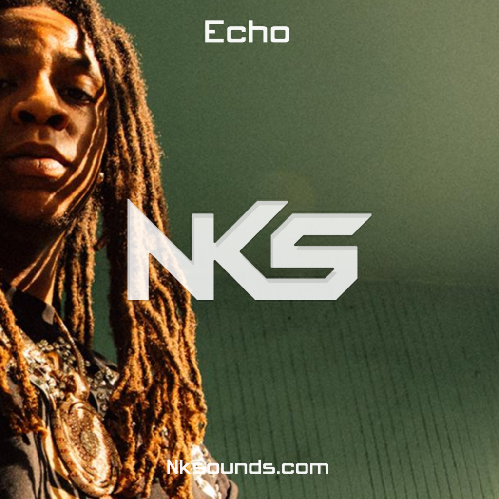 Echo | Hurricane Wisdom Type beat - Type Beat par NKSounds