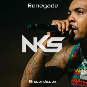 Renegade | G Herbo x Future Type beat - Type Beat
