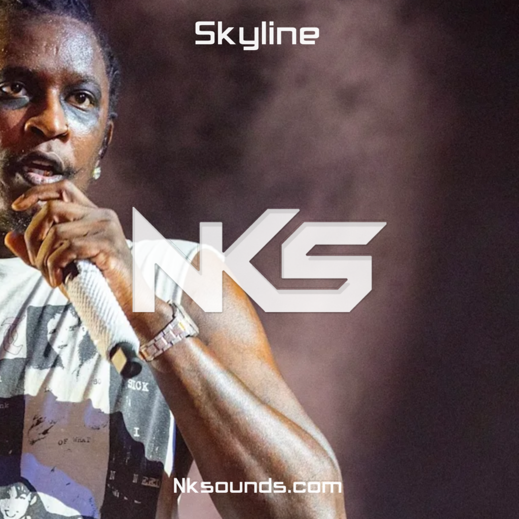 Skyline | Young Thug x Dababy Type beat - Type Beat par NKSounds