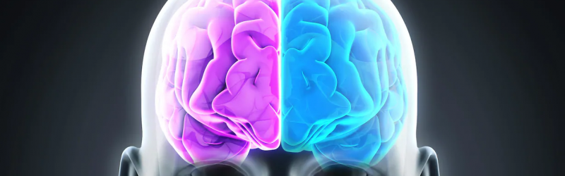 image-cerveau-musique